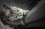 U 4ever run behind me :3