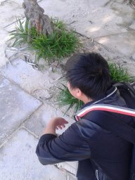 anh_sao_bang91