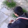 anh_sao_bang91